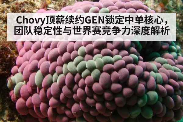 Chovy顶薪续约GEN锁定中单核心，团队稳定性与世界赛竞争力深度解析