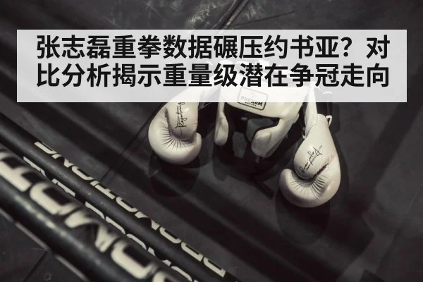 张志磊重拳数据碾压约书亚？对比分析揭示重量级潜在争冠走向